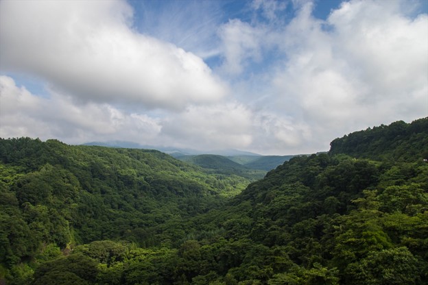_MG_6816_R