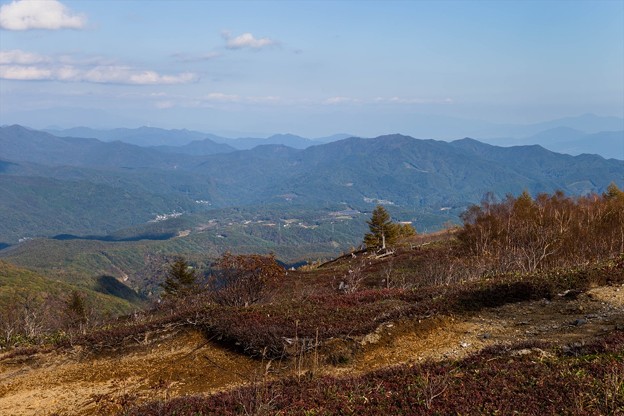 _MG_0596_R