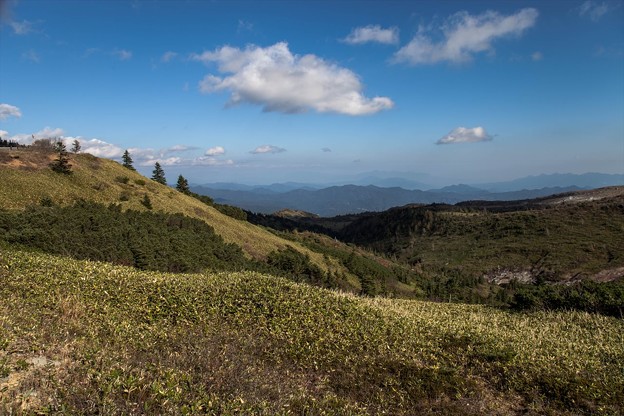 _MG_0587_R