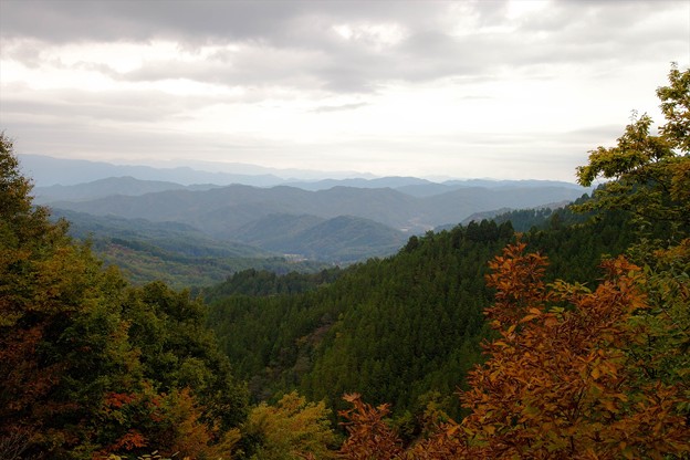 _MG_1181_R