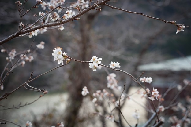 _MG_2992_R