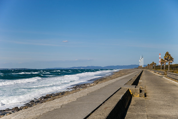 _MG_3955_R
