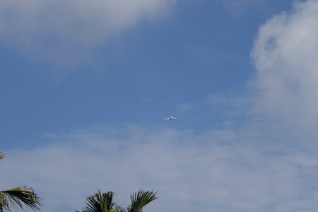 DSC00519
