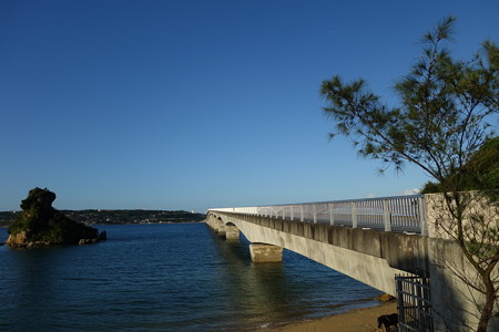 DSC00453