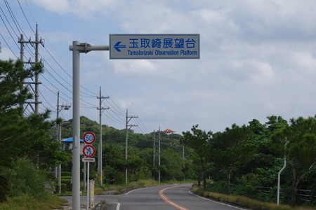 DSC02420