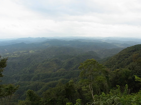 R0012520