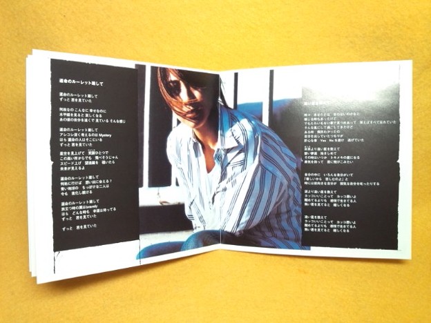 坂井泉水 ザード 永遠 CD 歌詞カード 写真 ZARD