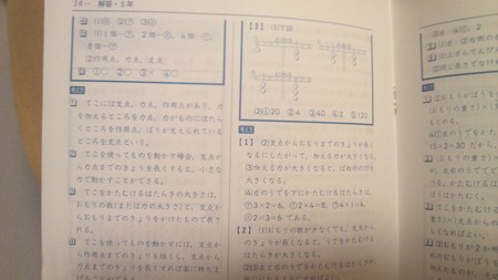 段階別新問題集 小学5年 理科 教学出版社 本 中古