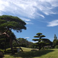 Photos: 日本庭園_公園 F8141