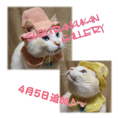 ミンネに追加♪