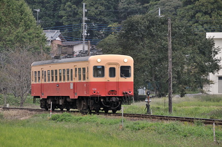 DSC_6436a