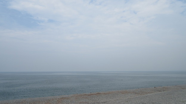 千本浜（沼津市）西