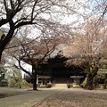 勝願寺（鴻巣市）