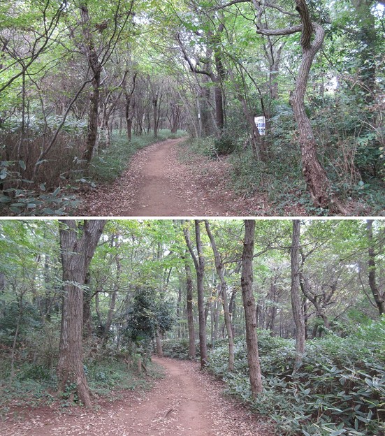 久米川古戦場（東村山市）八国山