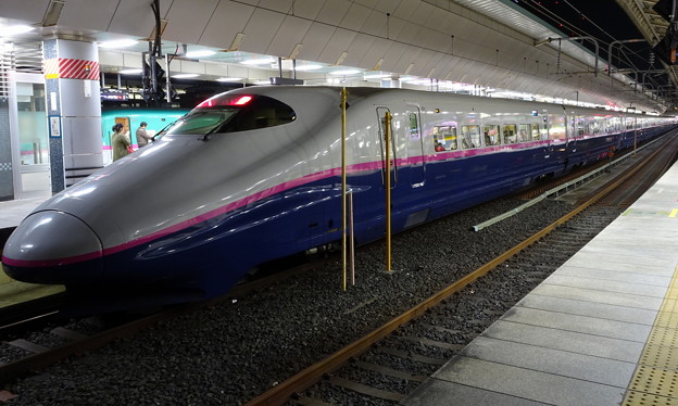 JR東日本東北新幹線E2系｢なすの267号｣