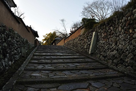1001031640_DSC_8885