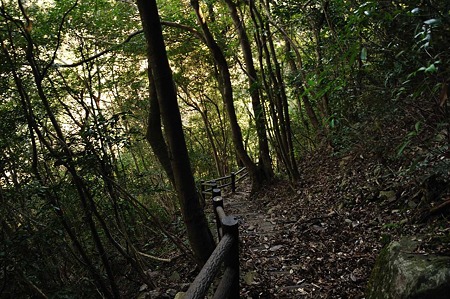 1001041332_DSC_9862
