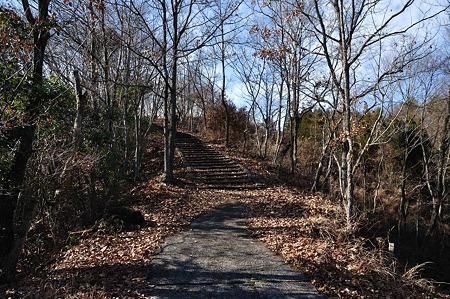 1001041355_DSC_9921