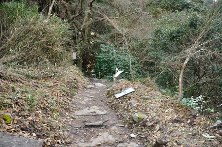 1001041511_DSC_9978
