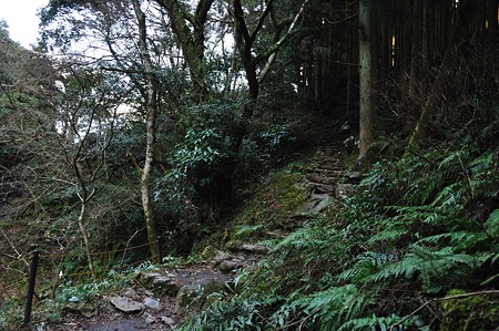 1001041533_DSC_0064