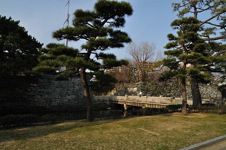 1003221630_DSC_1350