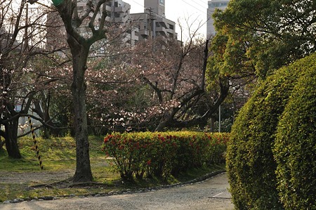 1003221635_DSC_1362