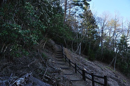 1004081455_DSC_2397