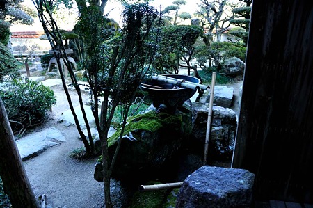 1004081545_DSC_2501