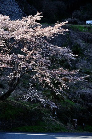 1004081604_DSC_2608