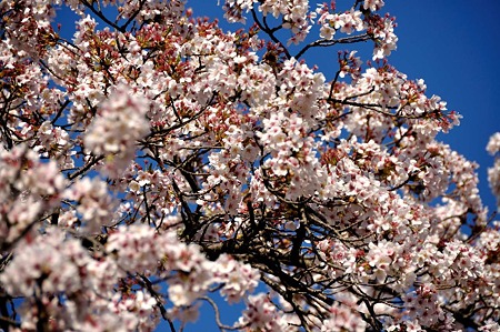 1004081648_DSC_2683
