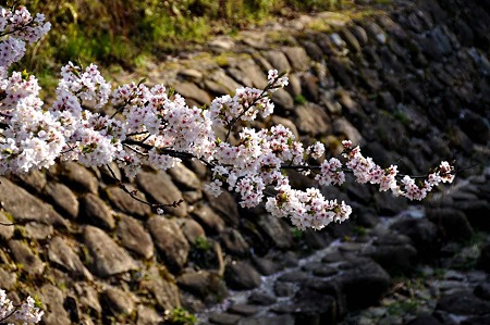 1004081656_DSC_2725