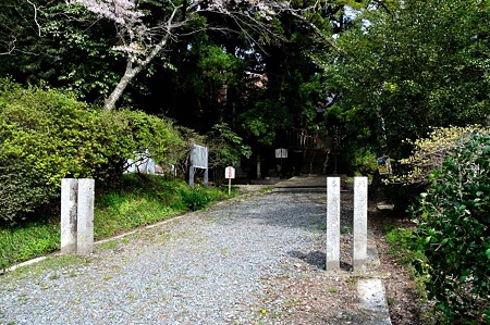 1005030848_DSC_2955