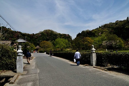 1005031031_DSC_3078