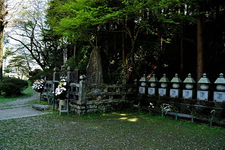 1005031245_DSC_3216