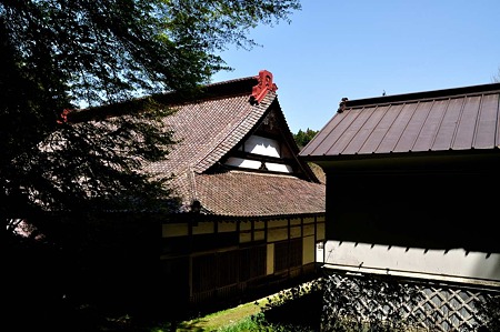 1005031253_DSC_3264