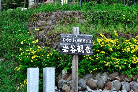 1005031536_DSC_3729