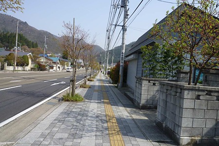 1005051430_P1660550