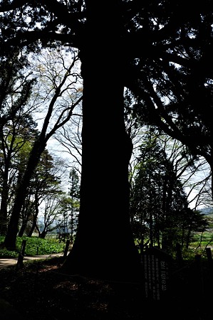 1005061042_DSC_6350
