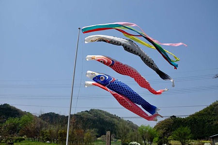 1005061044_DSC_6367