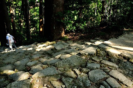 1009190928_DSC_1319