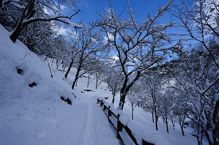 1101011203_DSC_6157