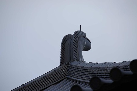 1101041555_DSC_4459