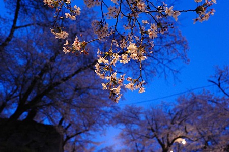 1104121856_DSC_9619