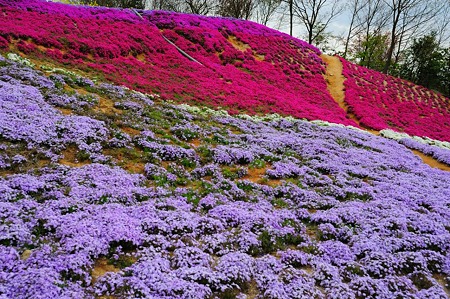 1104271015_DSC_9923