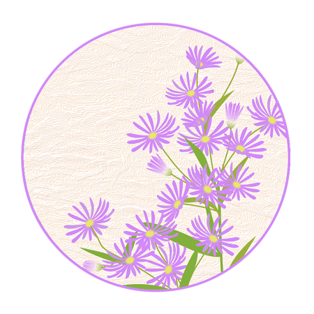 紫苑 やへむぐら 季節のイラスト