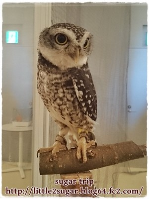 幕張イオンモール4