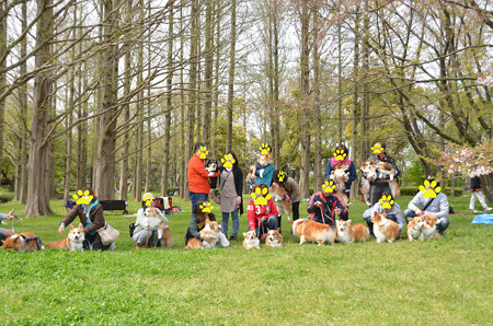 DSC_7392_edited-1