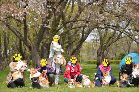 DSC_7257_edited-1