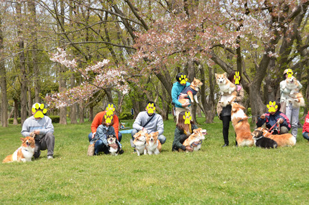 DSC_7259_edited-1
