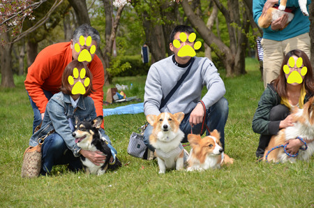 DSC_7278_edited-1